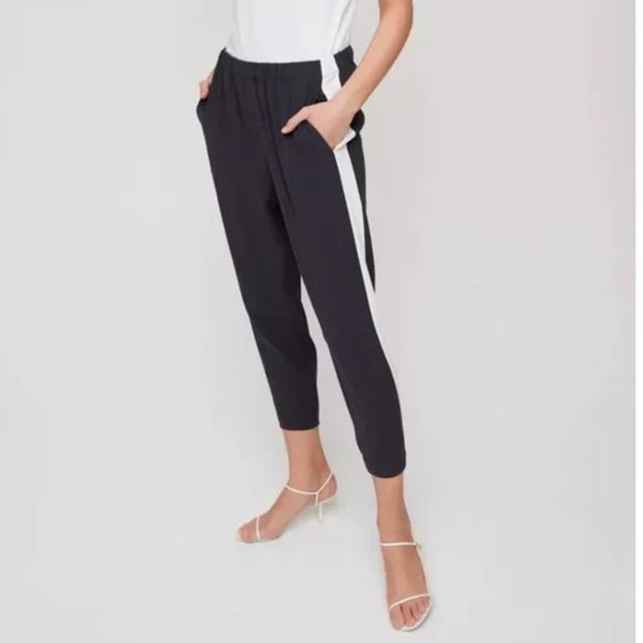 Babaton Pants - Aritzia Babaton Dexter Pant